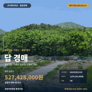경남 거제시 일운면 소동리 700 토지 604평 제2종일반주거지역 소동마을 인근 농지 논경매 맹지 진입로 도로접면 제시외건물 확인 창원지법 통영지원 2025타경21335 썸네일