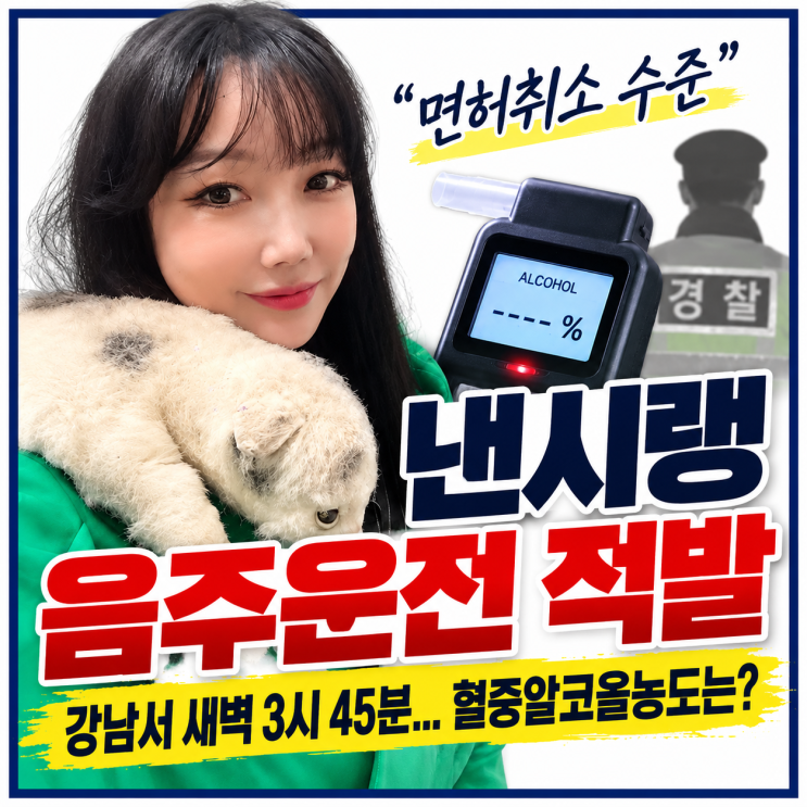 낸시랭 음주운전 적발, 강남서 면허취소 수준…혈중알코올농도는?