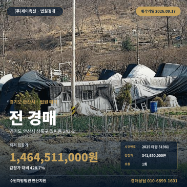 안산시 상록구 월피동 농사땅경매 광덕고 인근 243-2 2025타경51981 썸네일