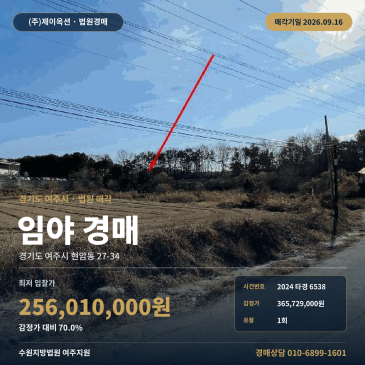 여주 땅 경매 권리분석 현암동 계획관리지역 노선버스정류장 인접 1215평 2024타경6538 썸네일