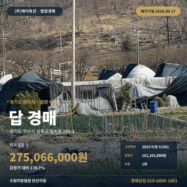 월피동 농사땅 경매 안산시 상록구 광덕고 인근 673평 농지 2025타경51981 썸네일