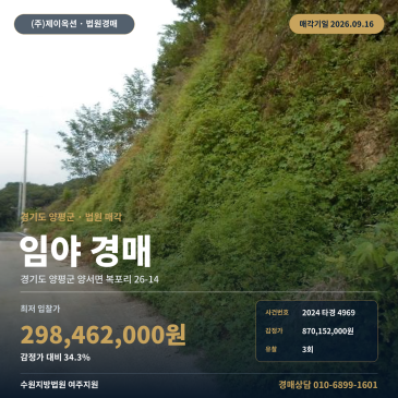 양평군 양서면 복포리 산지경매 권리분석 현황 도로와 임야 2024타경4969 썸네일