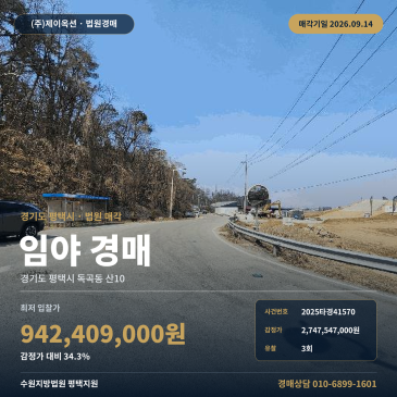 평택임야경매·산지ㅣ독곡동 산10ㅣ2025타경41570 썸네일