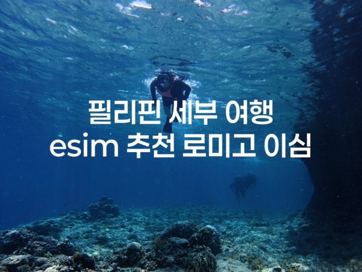 로밍 요금 아껴서 망고하나 더 사 먹음 세부필리핀3박4일이심추천로미고이심후기