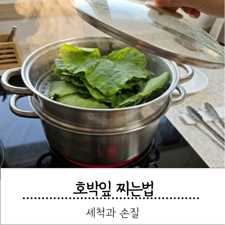 여름 밥도둑 호박잎 찌는법