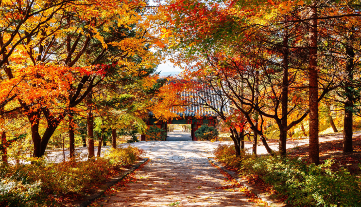국내여행추천 영주 당일치기 — 부석사·소수서원·선비촌·무섬마....