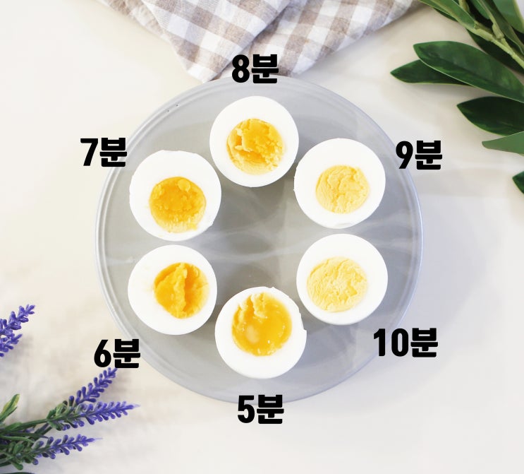 계란 삶는법 반숙 계란 삶는 시간