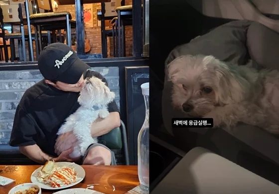 박성광 반려견 광복이 새벽 응급실행…“병원 그만 가자” 애틋한 ....