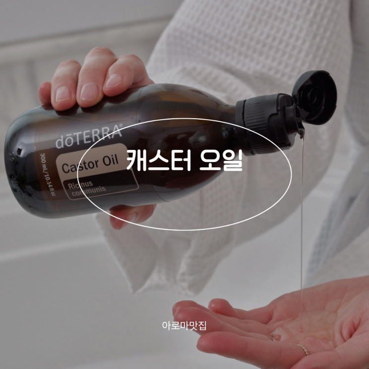 캐스터오일, 왜 지금 다시 주목받을까?caster oil, 피마자 오일 : 네이버 블로그