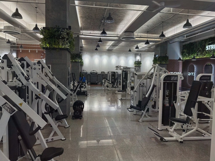 수원 인계동 헬스장, 넥스트짐 수원권선동점 헬스 PT에서 찾은 넓은 몰입