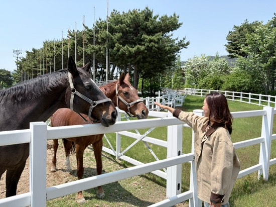 [부산가볼만한곳] 렛츠런파크 부산경남 경마공원 첫 방문 후기  무....