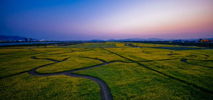 부산강서구가볼만한곳｜멀리 가긴 부담스럽고, 드라이브·카페·저....