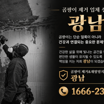 곰팡이 제거, 무료 방문진단부터 정확히! 곰팡이제거업체 광남
