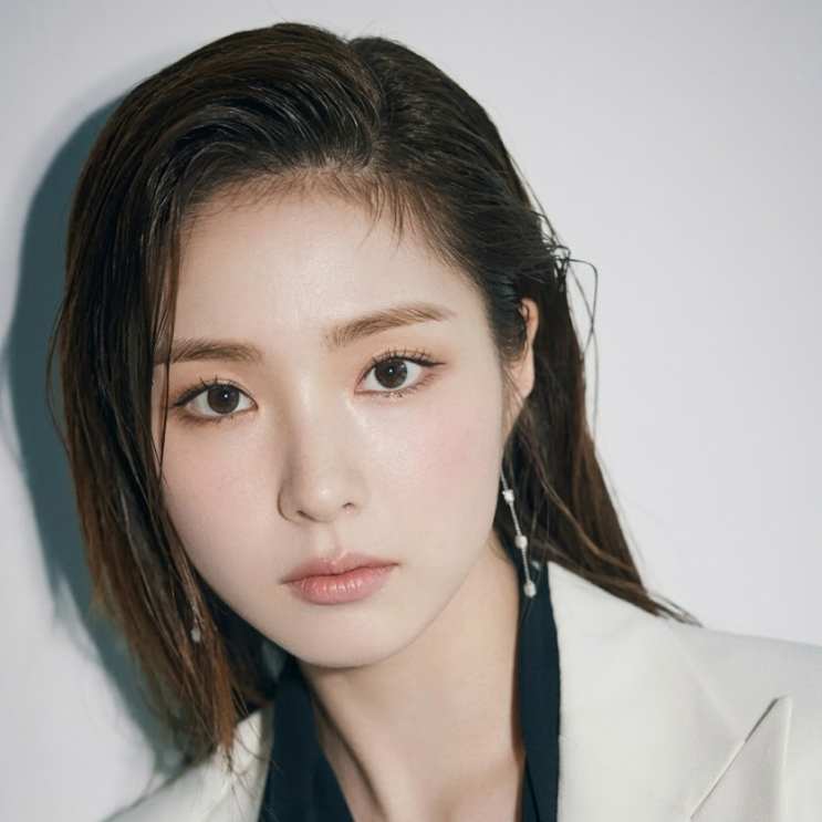 "빌라 최고 400억?" 신세경 삼성동 라브르27 펜트하우스 매입 소식 파....