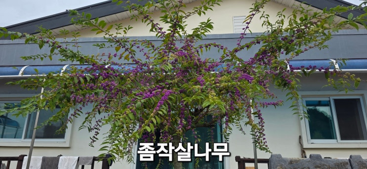링크 미리보기