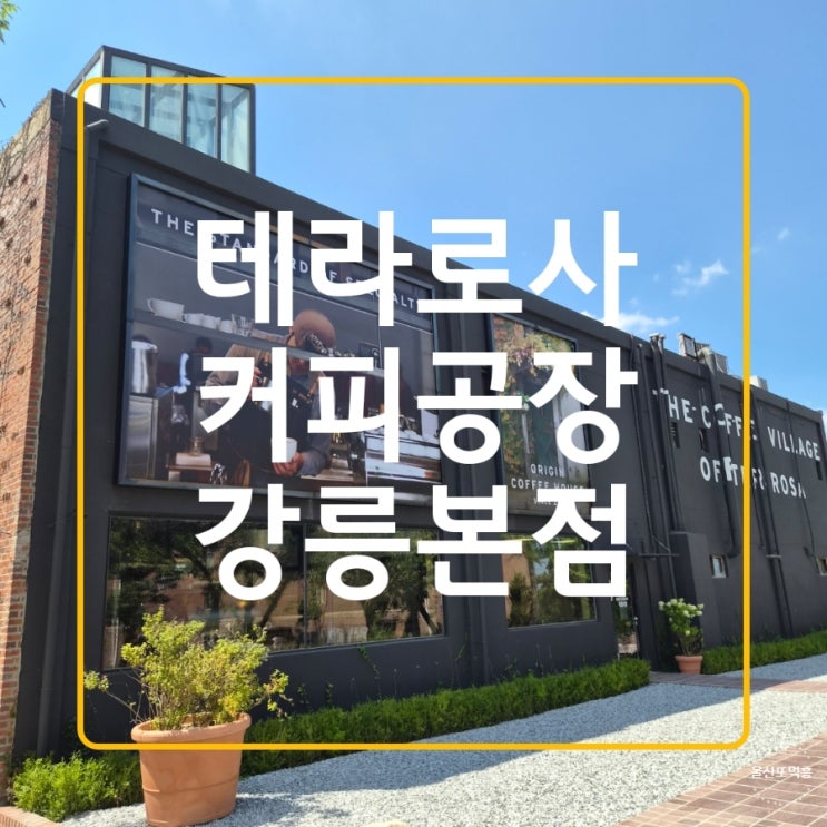 강릉 필수 맛집 대형카페 테라로사 커피공장 본점(기념품, 초콜릿)