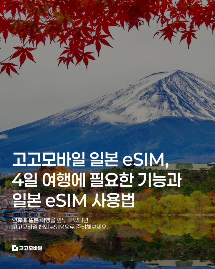 ② 스마트폰 설정에서 QR 스캔하기 휴대폰 설정방법 아이폰 설정 → 셀룰러 → eSIM 추가 → QR 코드사용안드로이드설정 → 연결 → SIM 관리자에서 QR을 스캔 일본이심 사용법에서 이 절차가 전부입니다. 상세 등록 가이드대로만 하면, 일본이심 사용이 처음이어도 어렵지 않게 따라올 수 있어요. ③ 일본 도착 후 설정 변경하기 한국에서 미리 등록해두시면 공항...