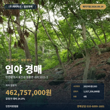 인천영흥면산경매ㅣ옹진군 영흥면 내리 1311-2ㅣ2025타경1383 썸네일