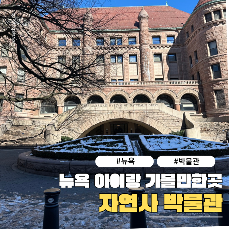 뉴욕 아이랑 함께라면 꼭 가야할 미국 자연사박물관 기부입장정보
