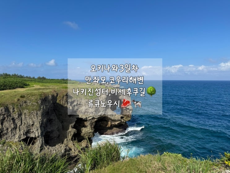 오키나와3일차 만좌모,코우리해변 나키진성터,비세후쿠길 류큐노우....