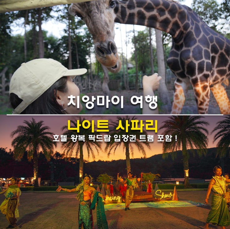 치앙마이 여행 나이트 사파리 호텔 왕복 픽드랍 입장권 트램 포함 ....