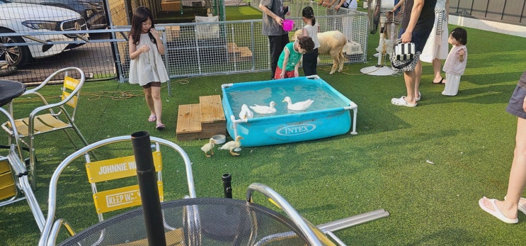 동물체험카페 찾나요? 햄스터도 바로 교감, 햄찌랑토찌랑 동물체험카페