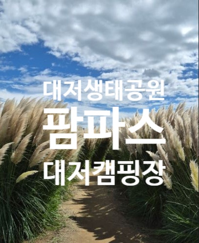 부산 캠핑장]대저캠핑장, 넓디넓은 생태공원 뷰 & 가성비 대장