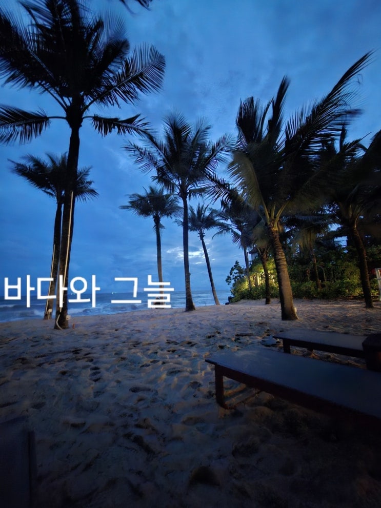 상경10일(푸꾸옥3일차) - 푸꾸옥 현지인재래시장 & 코코넛 수용소