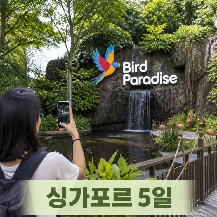 싱가포르 5일 여행 코스 추천ㅣ버드파라다이스, 센토사루지, 만다린....