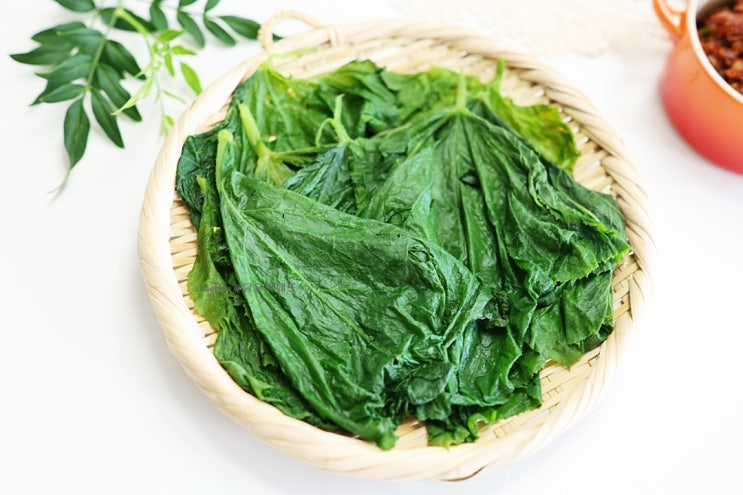 호박잎 찌는법 찌기 시간 손질