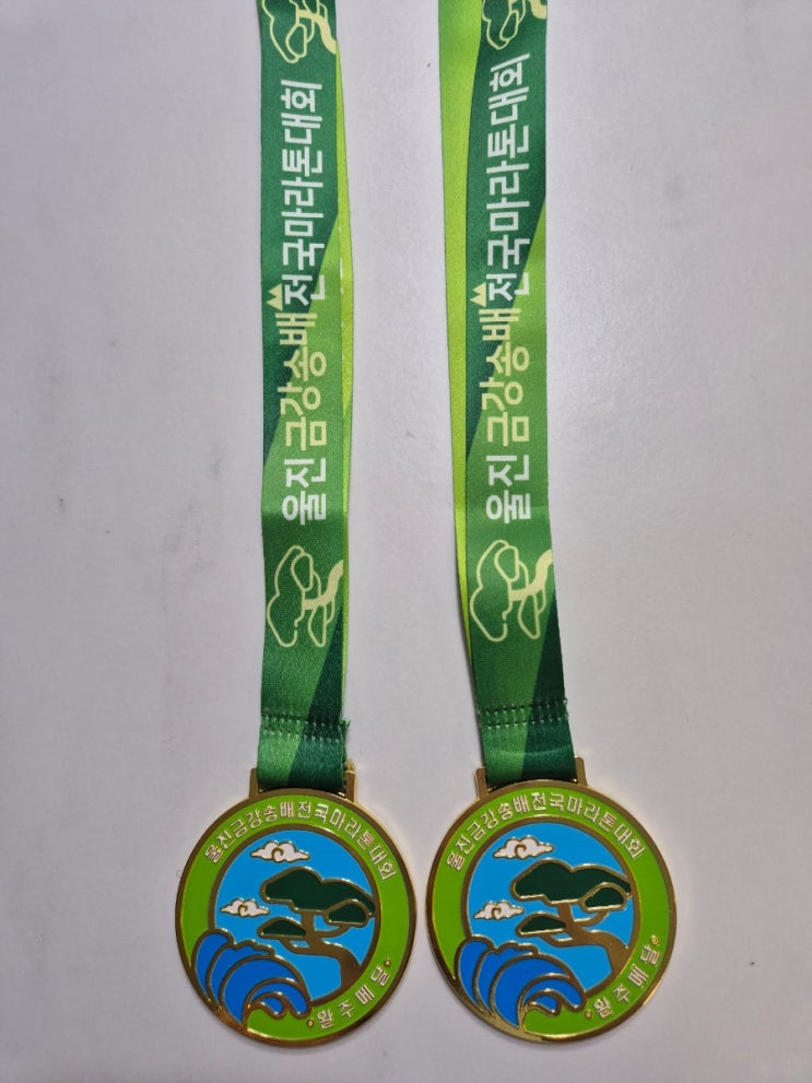 울진 금강송배 마라톤 10km 완주 상위 30% 기록 달성 후기