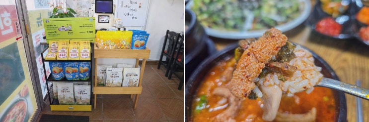 제주 협재 맛집 영진보말칼국수 제주협재점, 보말+해장국으로 한끼 완성!