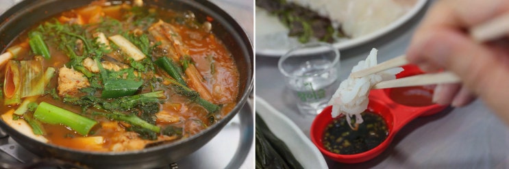 [맛집리뷰] 동해맛집 청해수산, 묵호항 두툼모듬회