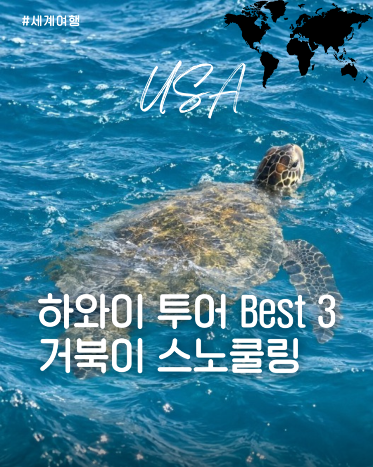 하와이 투어 Best 3 신혼 여행 필수 코스 와이키키 픽업 거북이 스노....