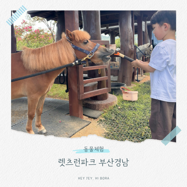 부산 5세아이랑 9월10월 가볼만한 렛츠런파크 포니체험 해보기 무료....