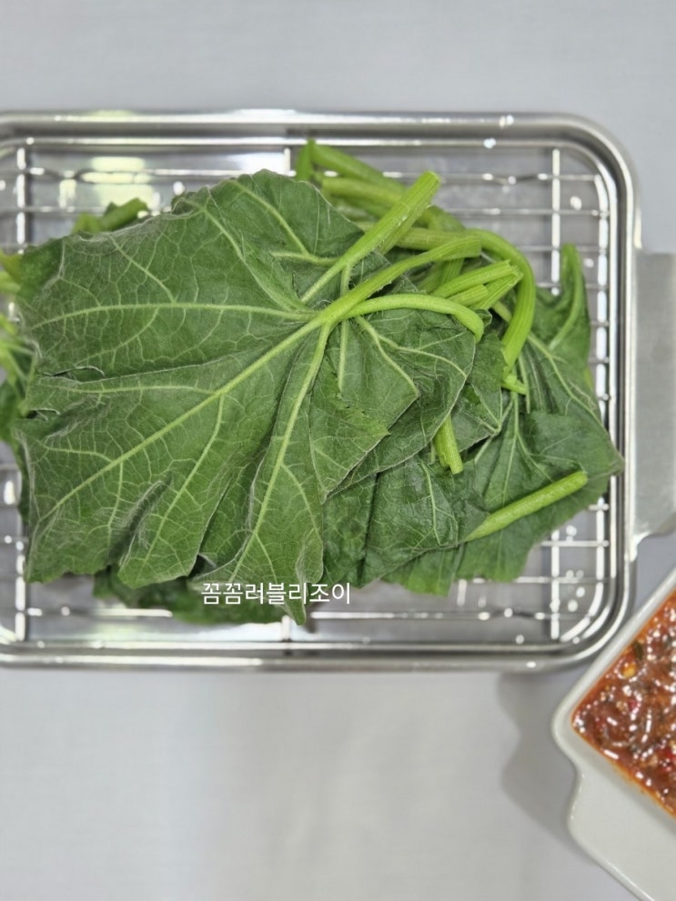 호박잎 찌는 법 호박잎 쌈 호박잎  양념장