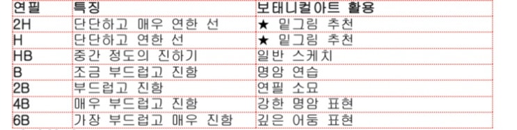보태니컬아트 초보자를 위한 기본 재료 안내
