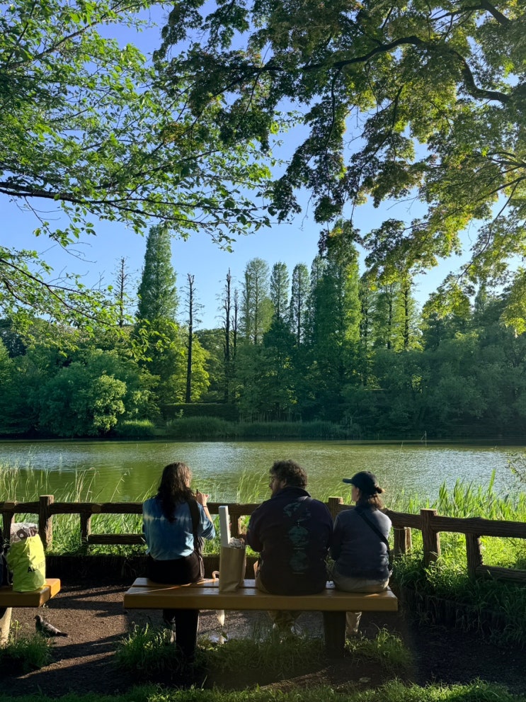 도쿄) 키치조지에 살고 싶어진 이유 [이노카시라 공원] Inokashira Park