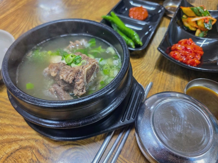 협재 맛집 찾으시나요? 보말 듬뿍 한치전까지, 영진보말칼국수 제주협재점