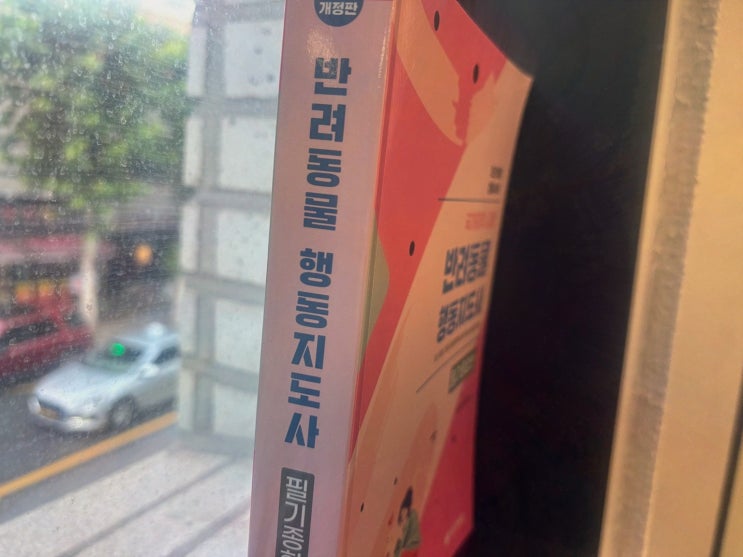 엘로드에듀 반려동물행동지도사자격증, 온라인 인강으로 내일배움카드까지 꼼꼼히