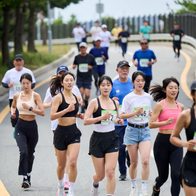 2026 금산인삼축제 마라톤대회 소개 이전대회 후기 코스후기