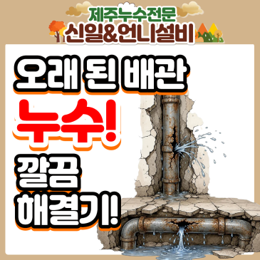 제주도누수 고민 끝! 서귀포 동홍동 빌라 노후 배관 철거부터 비노출 신설 및 일배책 보험 처리까지