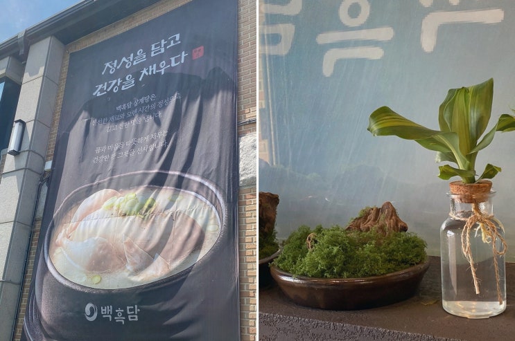 미사삼계탕 백흑담, 수비드 삼계탕과 정갈한 한상