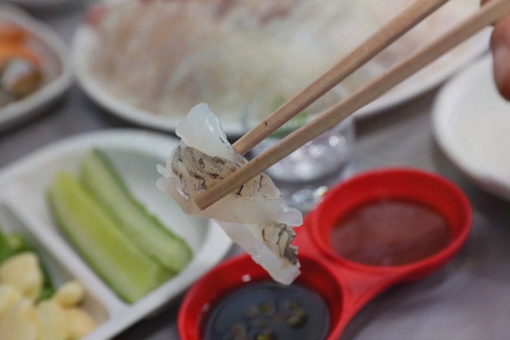 동해맛집 고민 끝! 청해수산 모듬회로 씹는맛 제대로