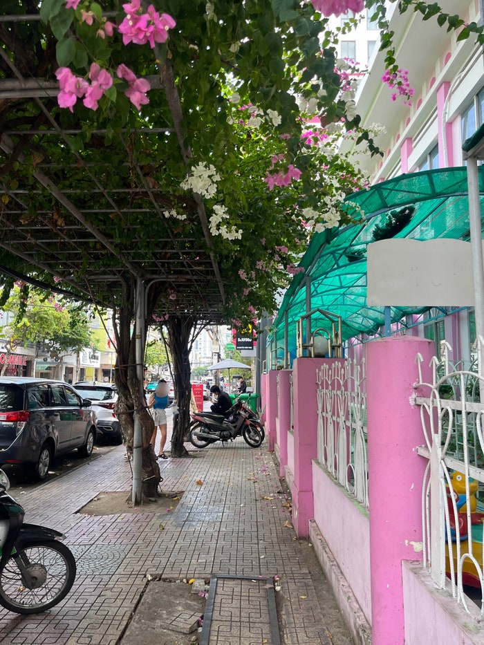 Nha trang - 나트랑 2박 4일 여행기 #3해산물 맛집 빈산 추천｜나트랑 약....