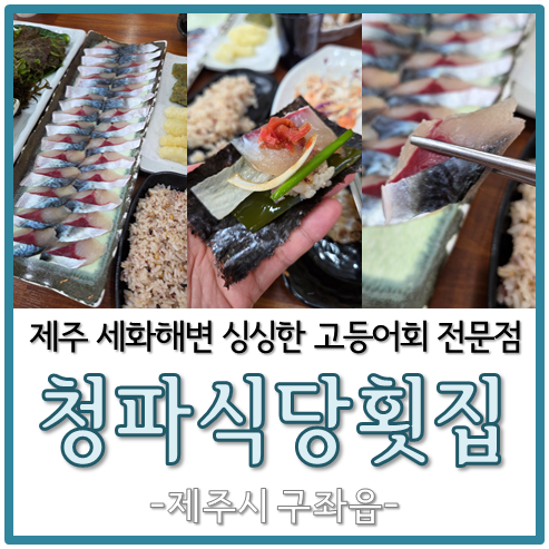 제주 세화해변 근처 싱싱한 고등어회 전문점 청파식당횟집 식사후....
