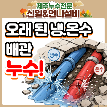 [제주도누수 해결] 온수 이어 냉수까지 터진 이도이동 주택, 제주누수탐지전문 여성누수 엔지니어의 깔끔 마무리