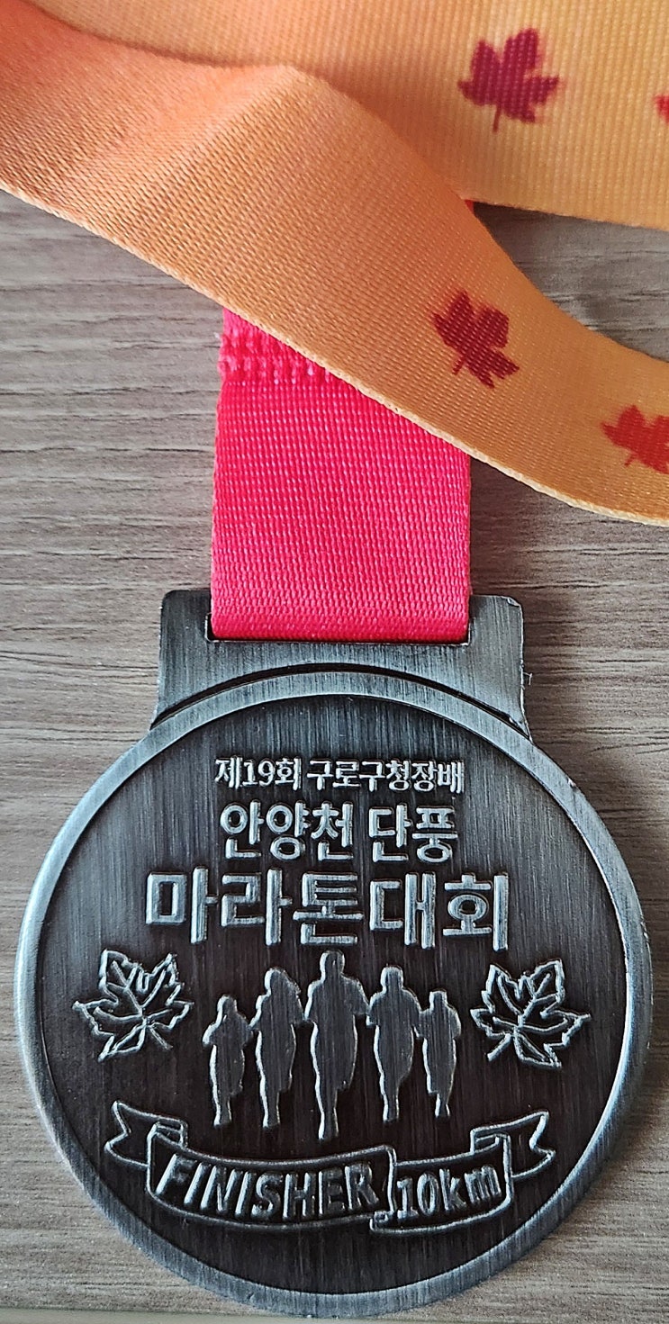 단풍 대신 수육과 막걸리가 있었던 제19회 구로구청장배 안양천 단풍 마라톤대회 10km 참가후기