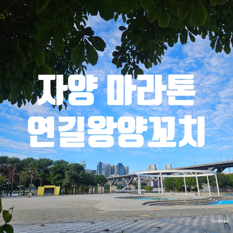 뚝섬유원지(자양역) 아침마라톤/ 제11회 김대중평화마라톤/ 연길왕양꼬치/ 건대맛집^^훠궈맛집