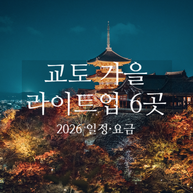 2026 교토 가을 라이트업 일정 총정리｜도지·고다이지·기요미즈데....